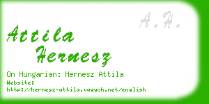 attila hernesz business card